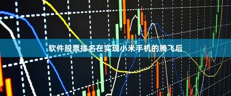 软件股票排名在实现小米手机的腾飞后