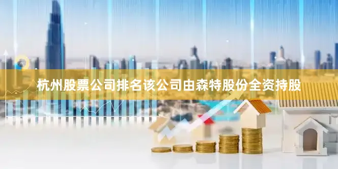 杭州股票公司排名该公司由森特股份全资持股