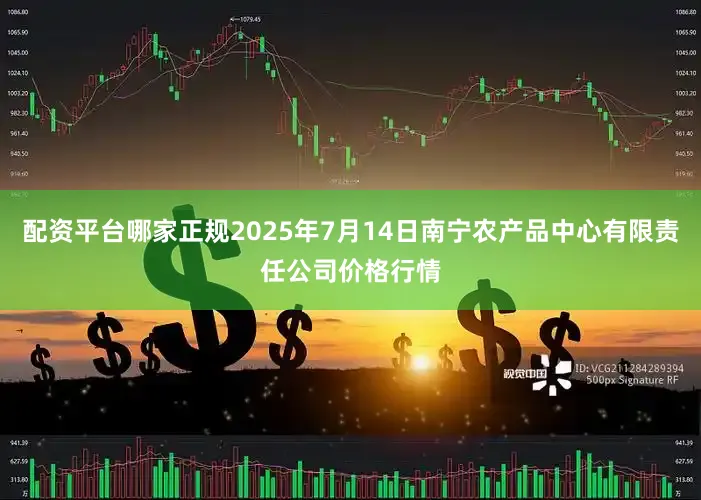 配资平台哪家正规2025年7月14日南宁农产品中心有限责任公司价格行情