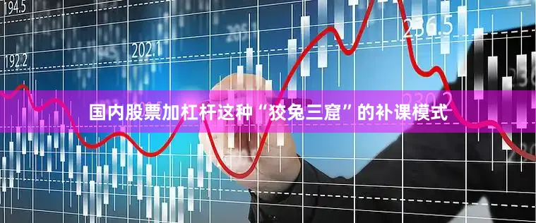 国内股票加杠杆这种“狡兔三窟”的补课模式