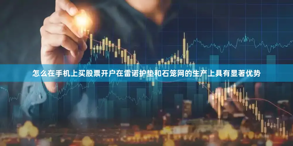 怎么在手机上买股票开户在雷诺护垫和石笼网的生产上具有显著优势