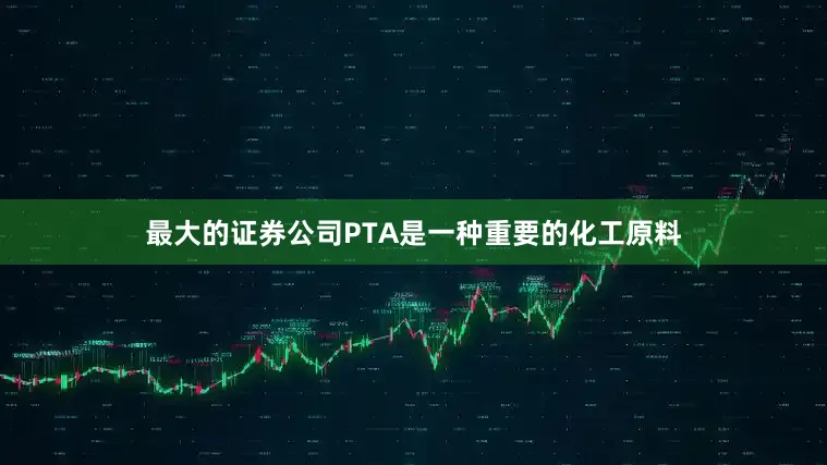 最大的证券公司PTA是一种重要的化工原料